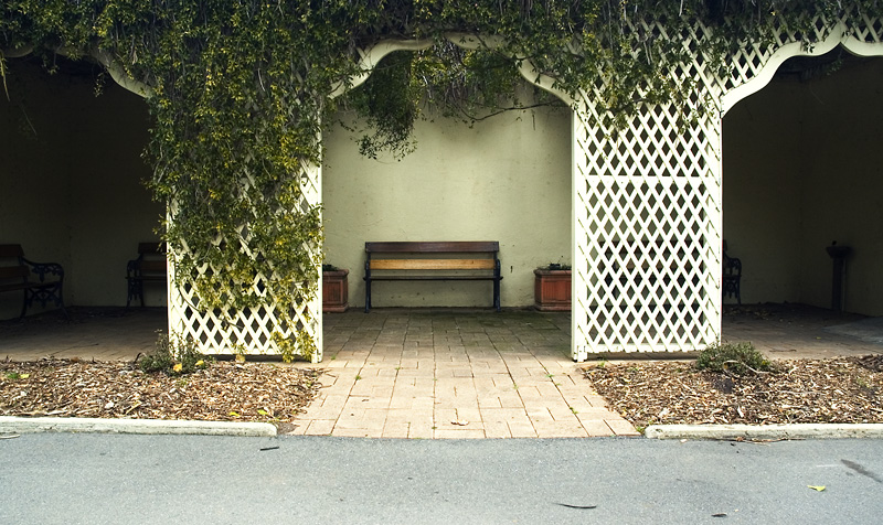 Peaceful bench